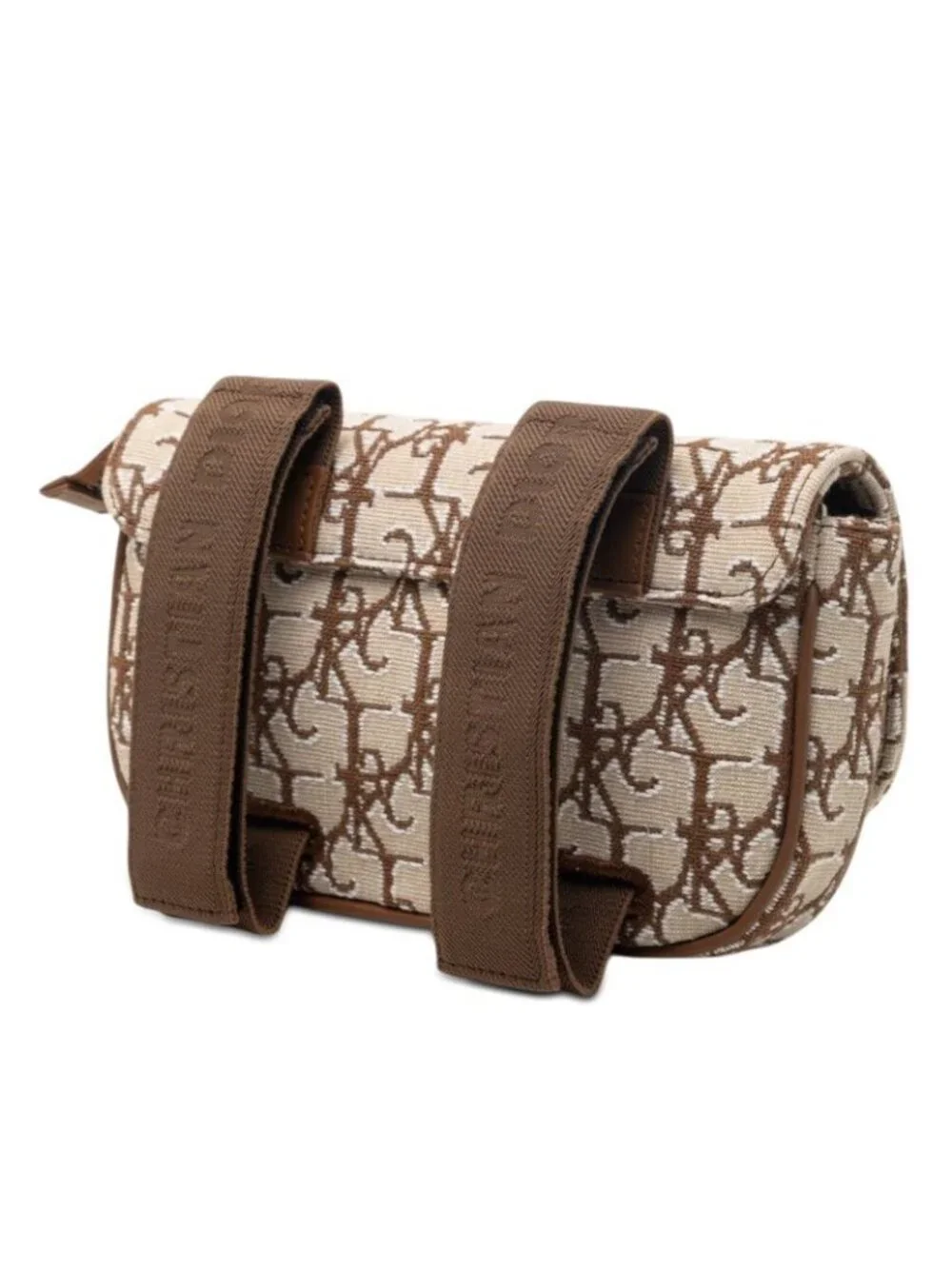 Dior Cactus Jack Travis Scott Saddle Arm Pouch Beige Brown Canvas Leather